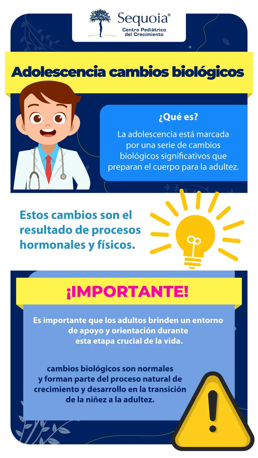Adolescencia: cambios biológicos - infografía