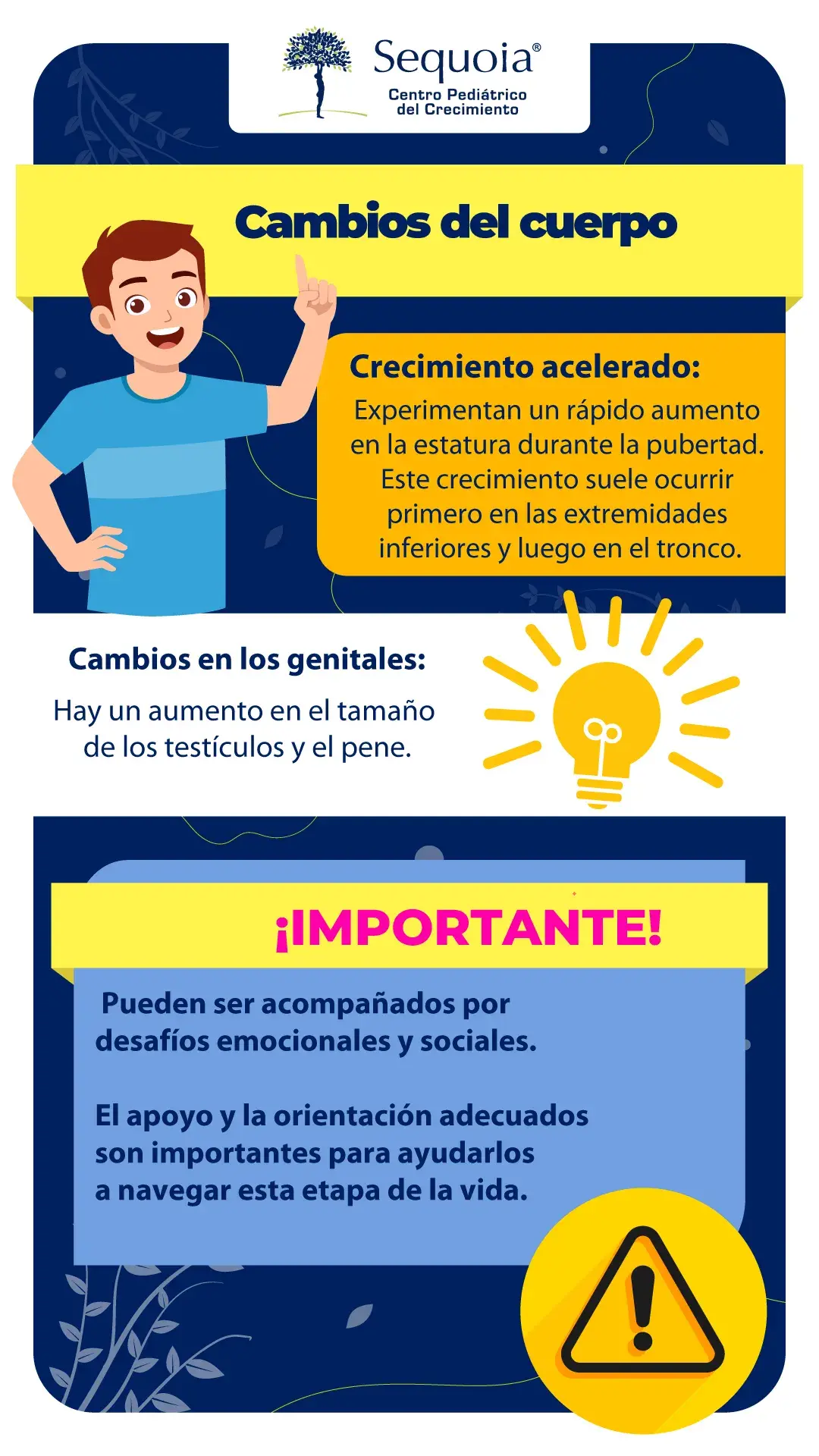 Cambios del cuerpo - infografía