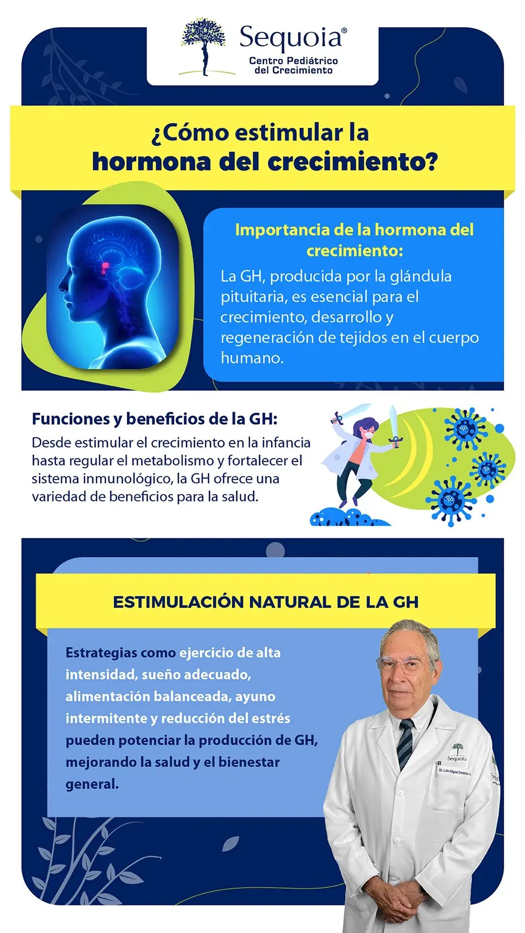Como estimular la hormona de crecimiento - infografía