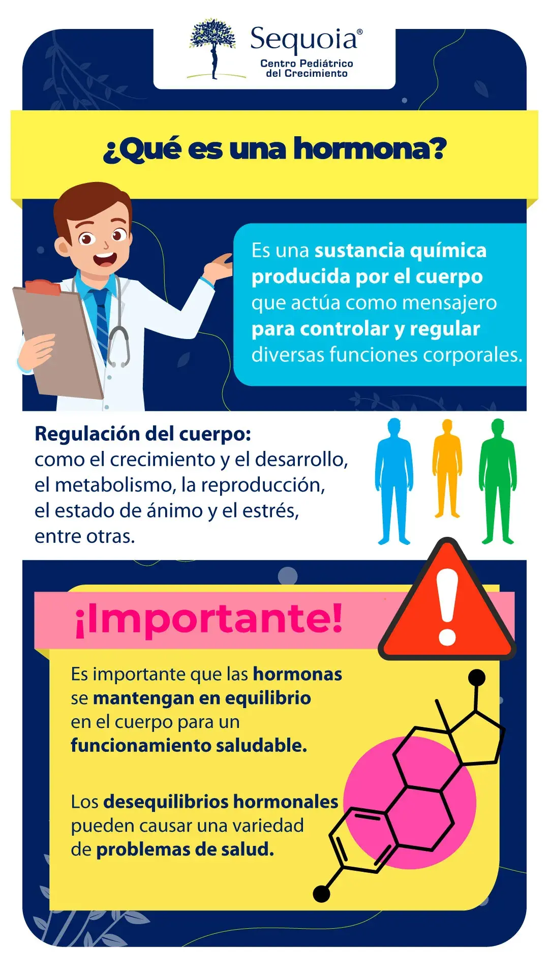 Que es una hormona - infografía