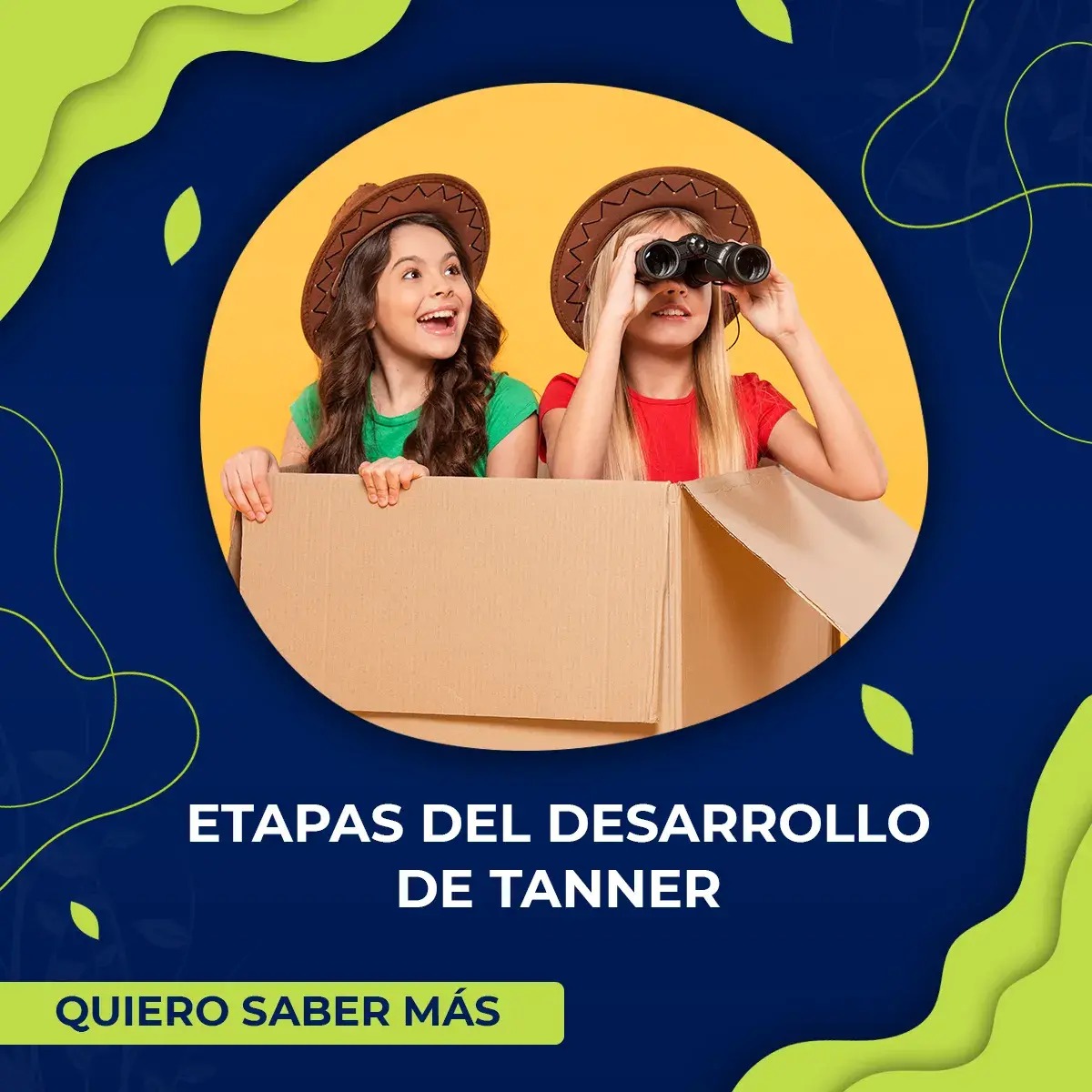 Banner que enlaza a etapas de desarrollo de tanner