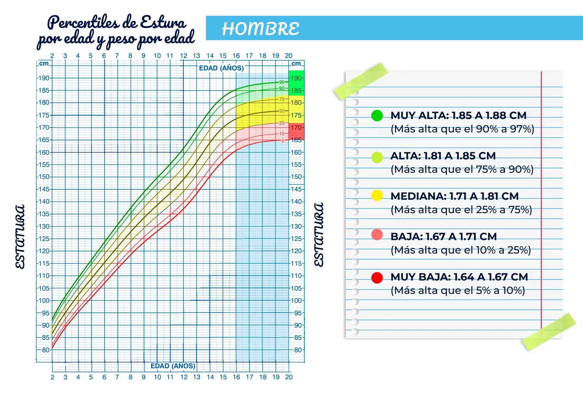 Percentiles de estatura por edad y peso en hombres