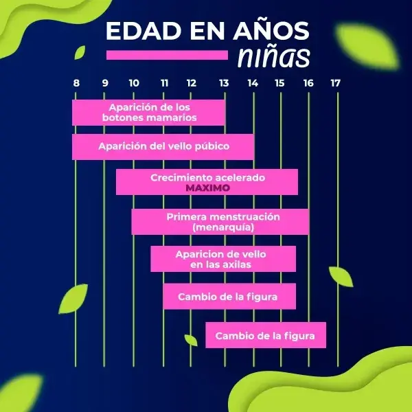 Cronograma que muestra cómo cambian las niñas durante la adolescencia paso a paso