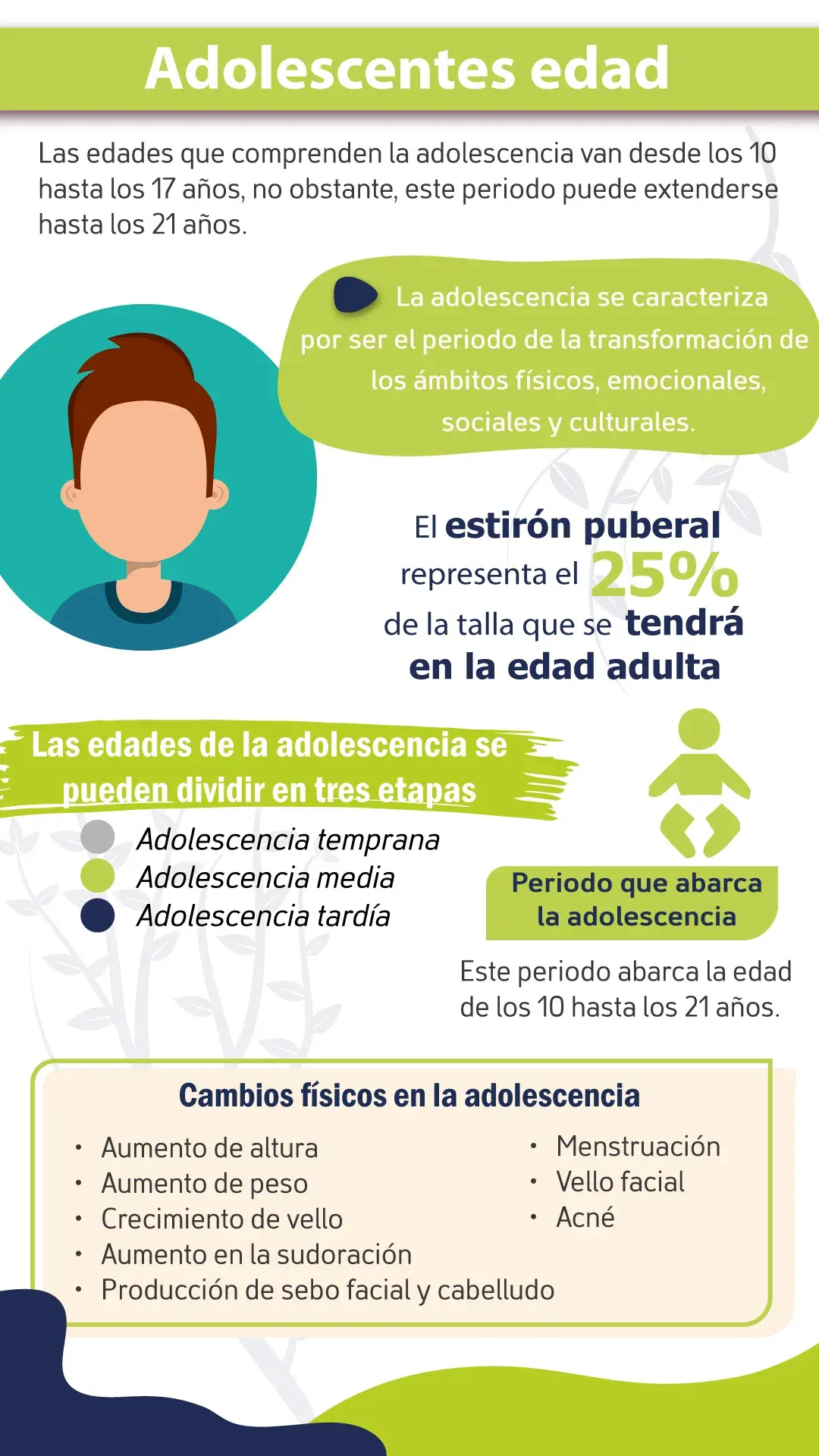 adolescentes edad: desde los 10 a los 21 años y se divide en tres etapas: adolescencia temprana, media y tardía.