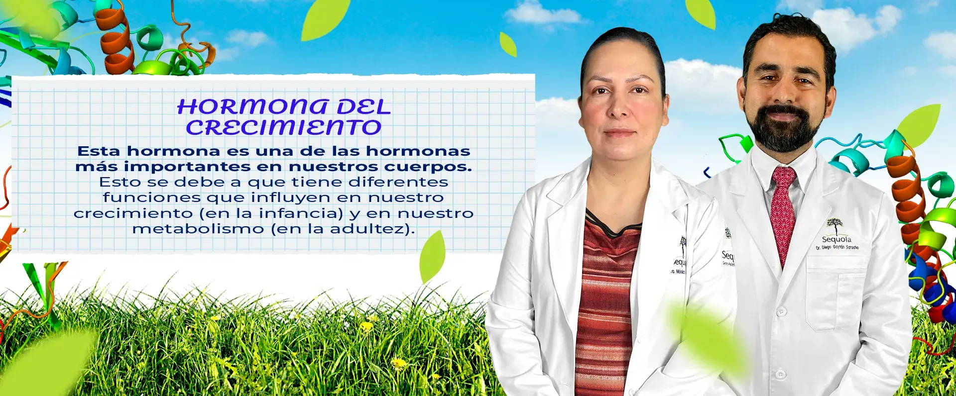 Importancia de la hormona de crecimiento