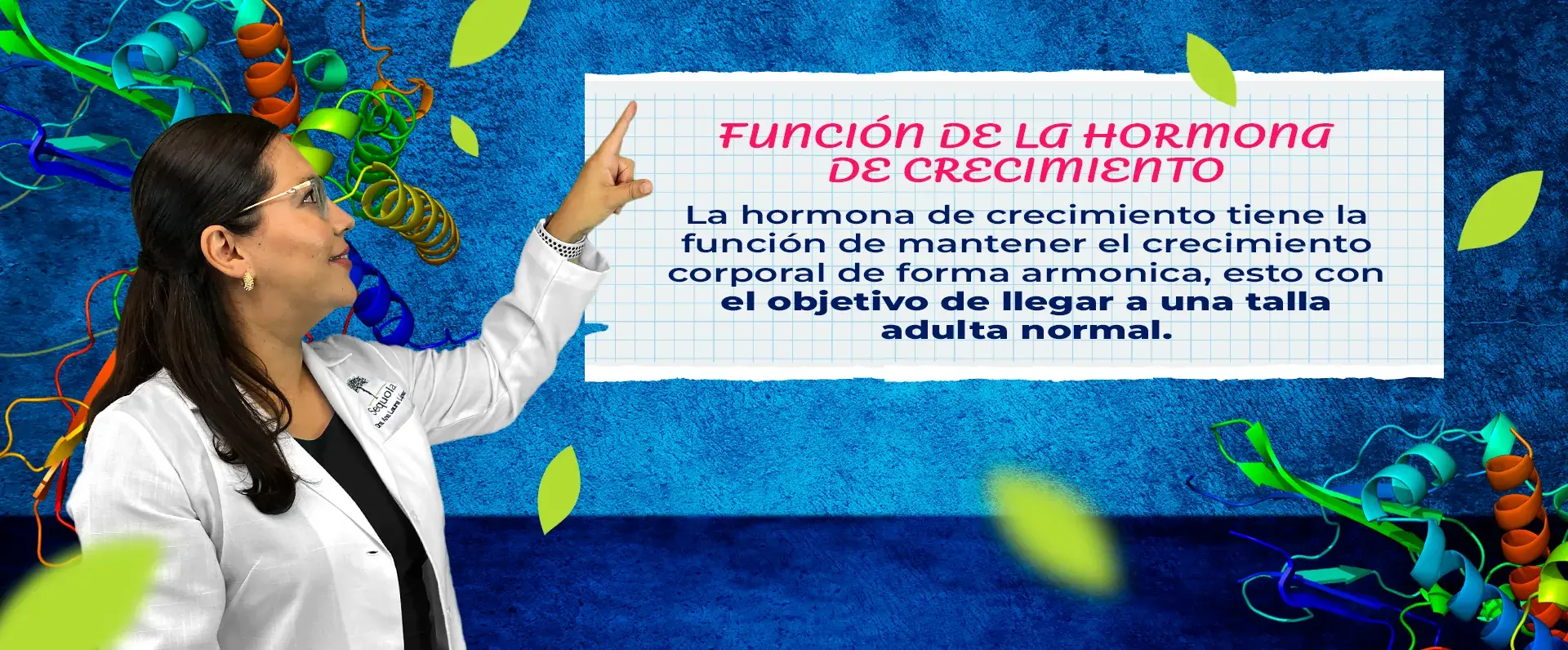 La función de la hormona de crecimiento es el crecimiento corporal.