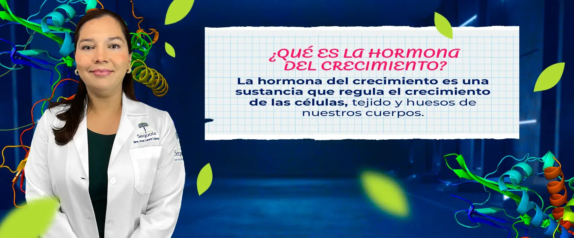 La hormona de crecimiento es un tipo de mensajero químico.