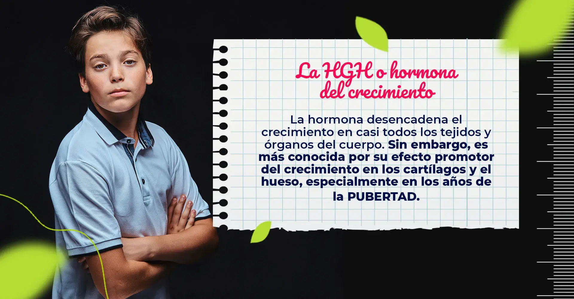 Desarrollo físico del hombre (piel más aceitosa, vello facial, alargamiento del pene).