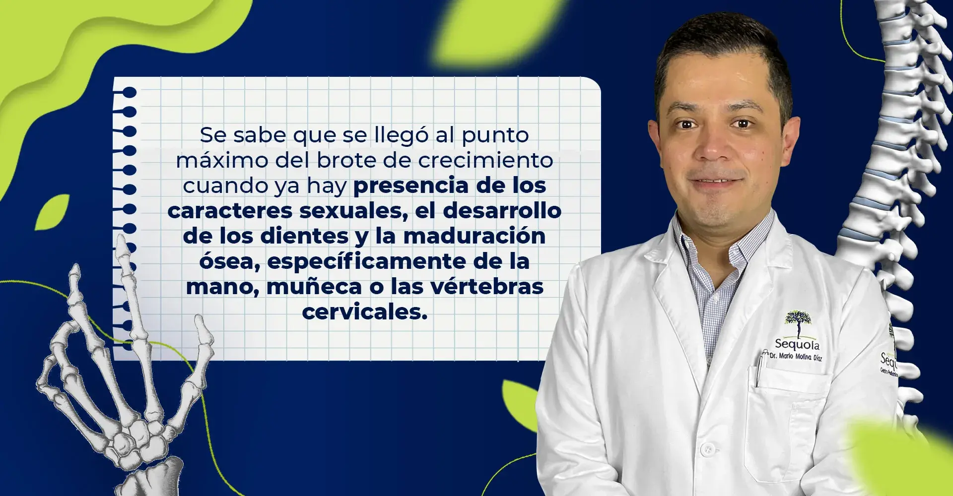 Punto máximo del brote de crecimiento (caracteres sexuales, desarrollo de dientes, maduración ósea, mano, muñeca, vértebras cervicales)