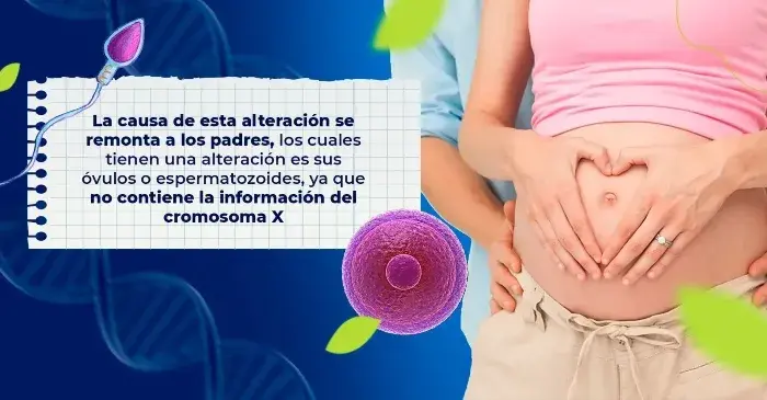 Una posible causa del síndrome de Turner se remonta a los óvulos y espermatozoides de los padres.