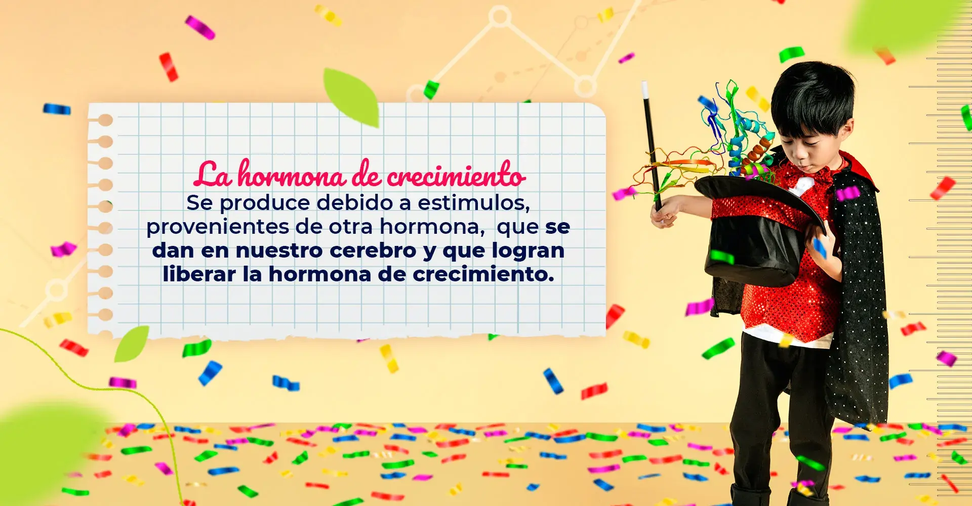 La producción de hormona de crecimiento se debe a estimulos de otra hormona.