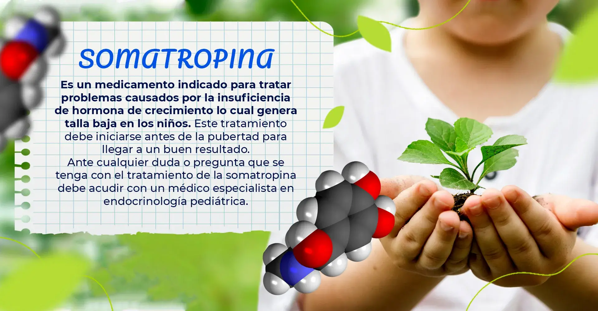El tratamiento con somatropina debe iniciarse antes de la pubertad.