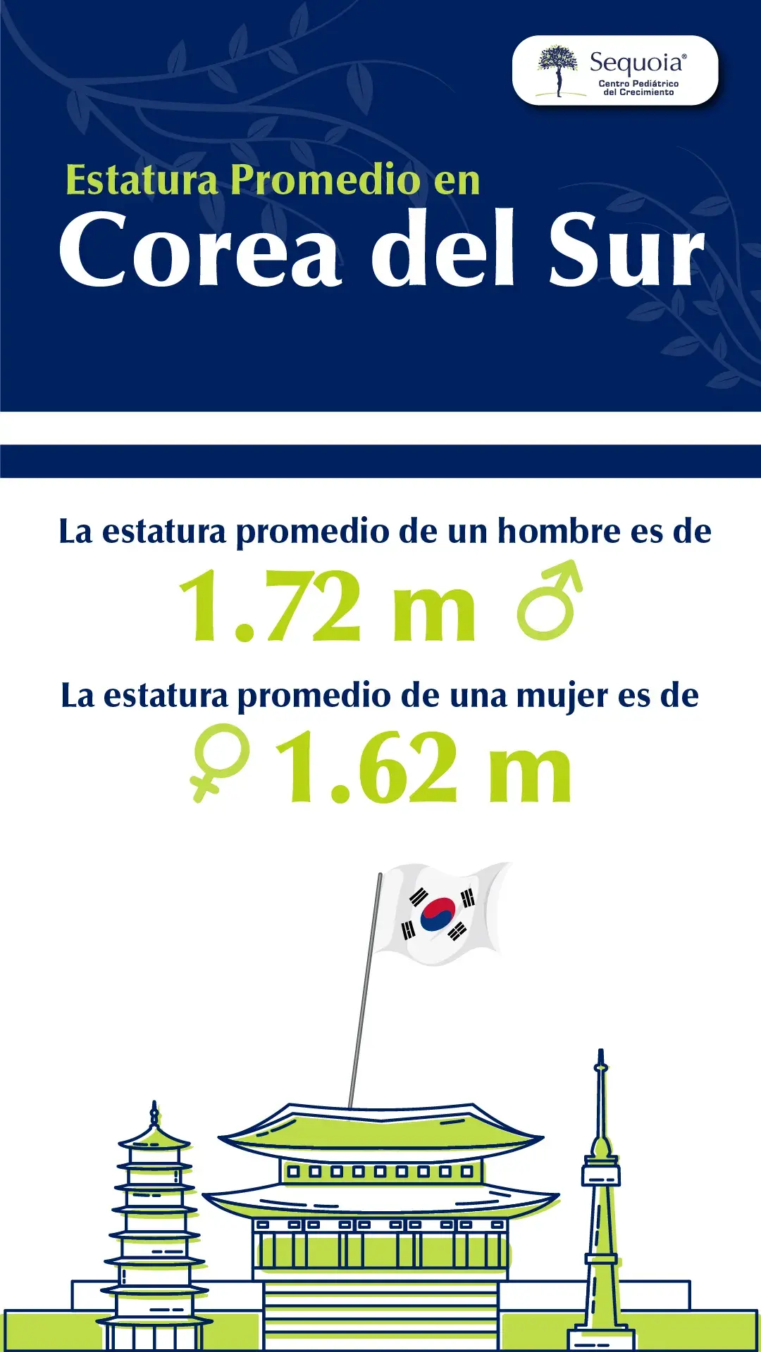 infografía estatura promedio de un Coreano
