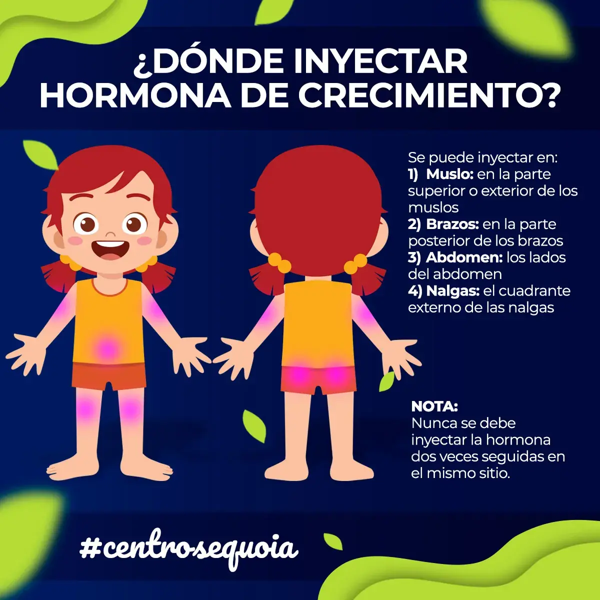 Donde se inyecta la hormona de crecimiento (muslo, brazos, abdomen, nalgas)