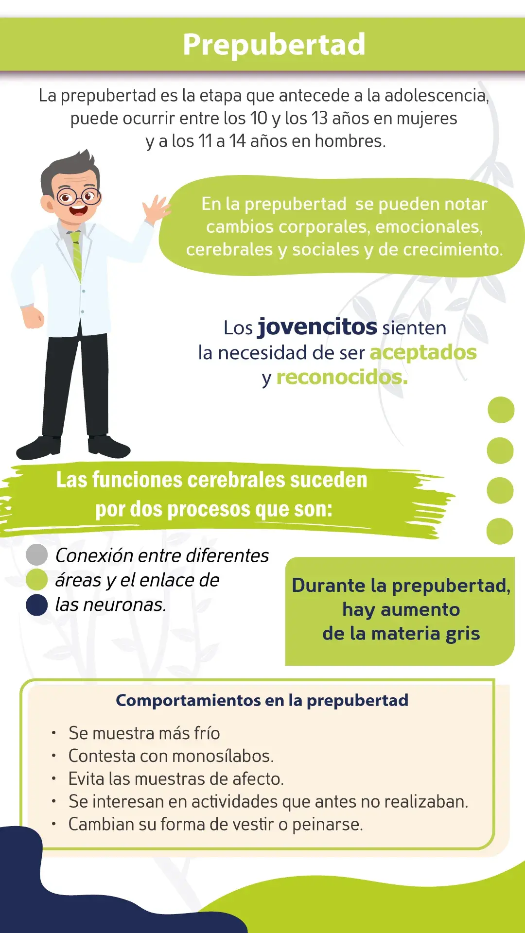 La prepubertad es una etapa que antecede a la adolescencia.