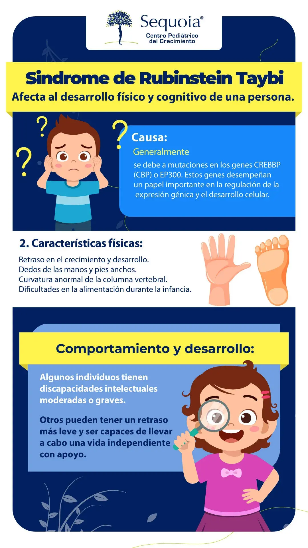 Síndrome de rubinstein taybi - Infografía