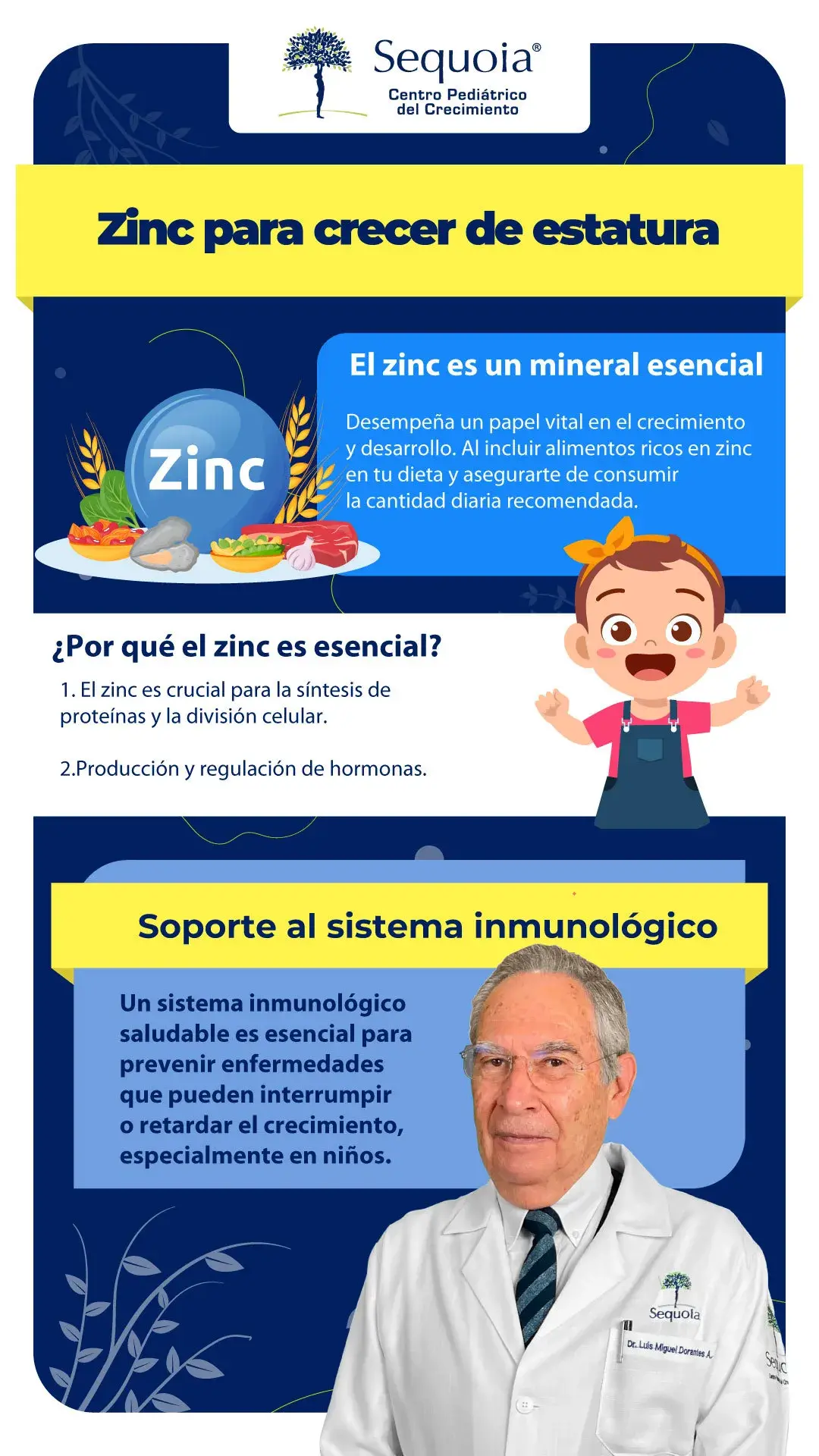 Zinc para crecer de estatura - infografía