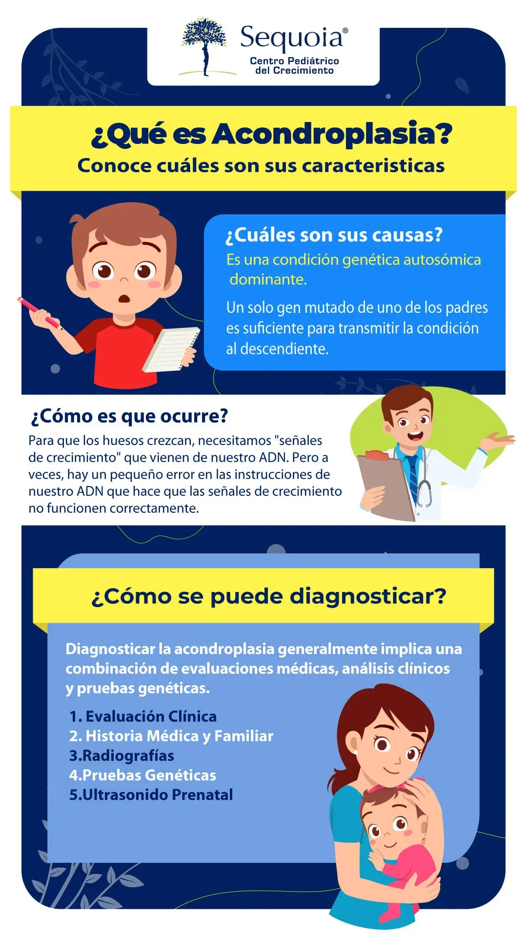 Síndrome de acondroplasia - Infografía