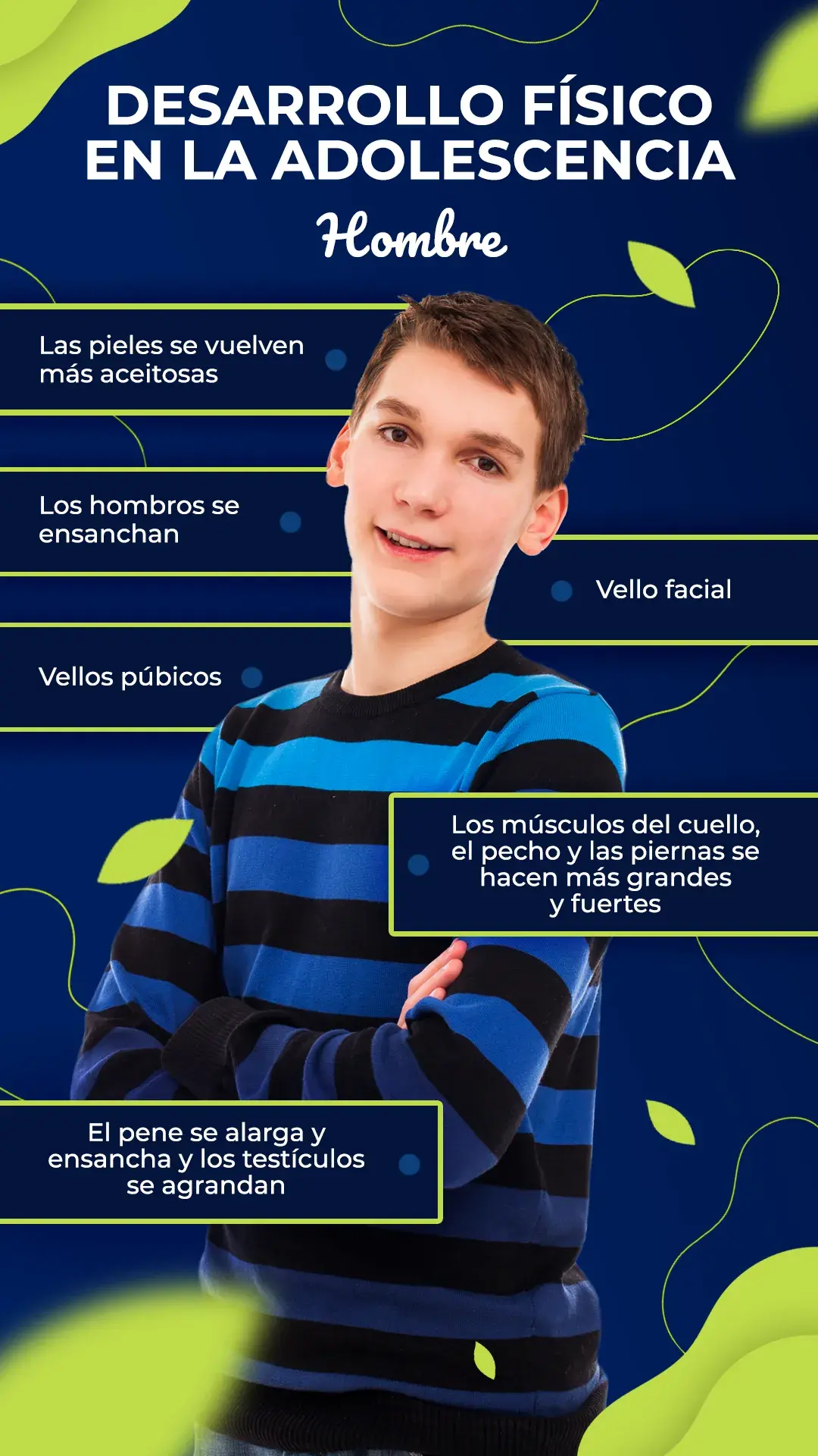 Desarrollo físico del hombre (piel más aceitosa, vello facial, alargamiento del pene).
