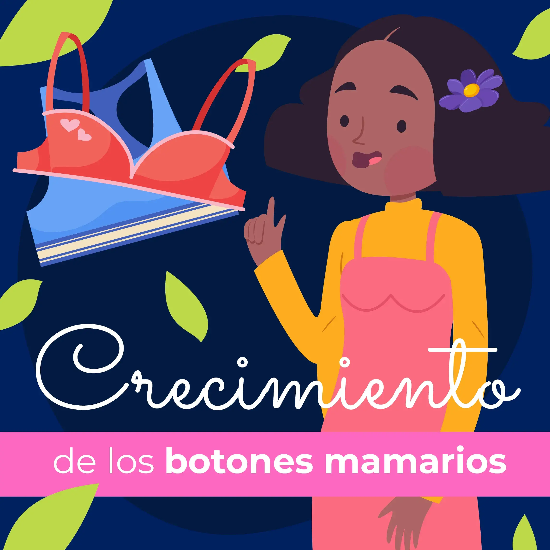 crecimiento de los botones mamarios o senos