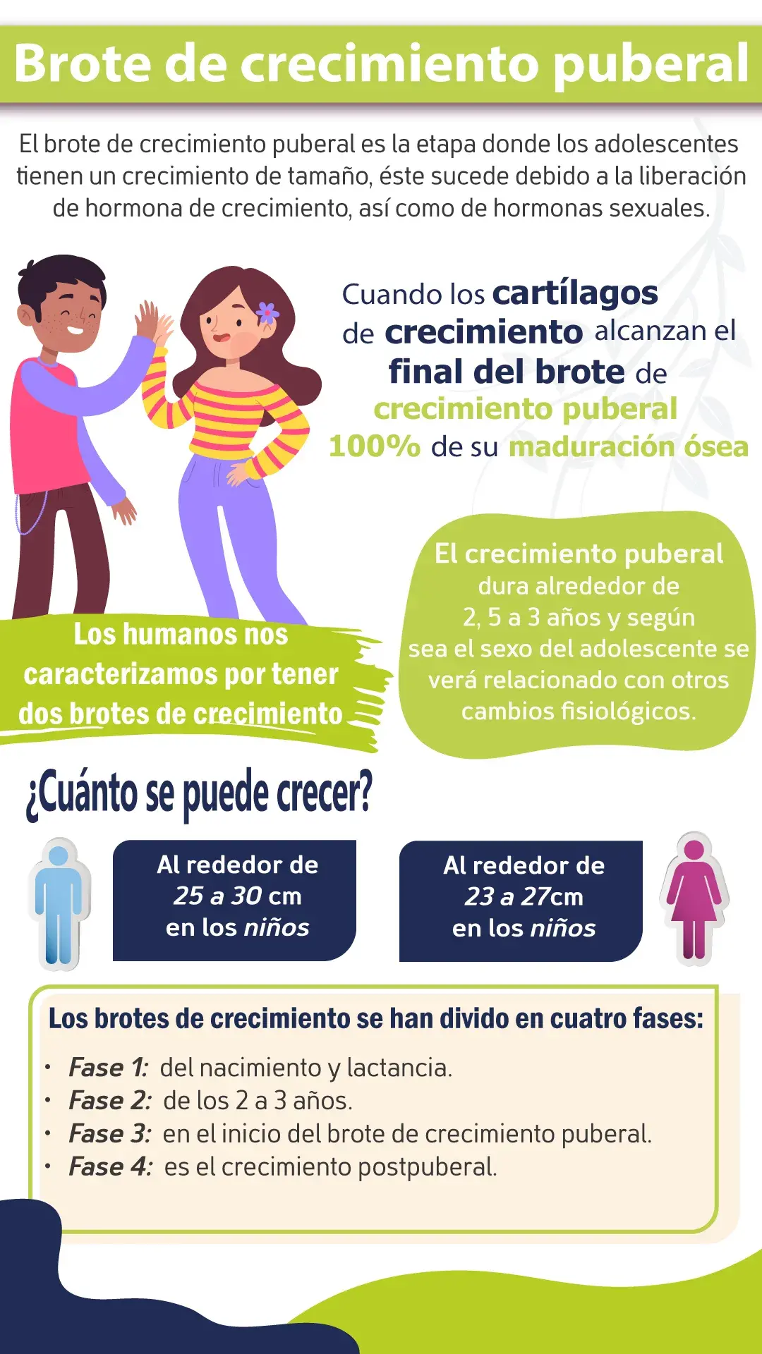 Qué es el brote de crecimiento puberal (existen cuatro fases y cuánto se puede crecer depende del sexo)