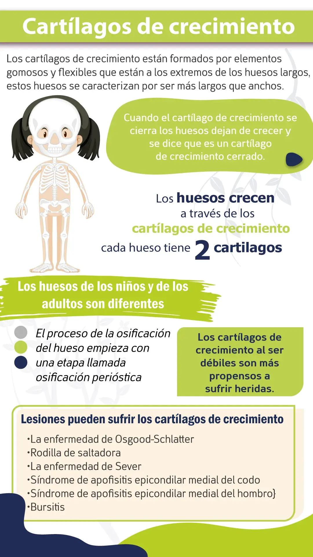 Los cartílagos de crecimiento se cierra y suponen el fin del crecimiento.