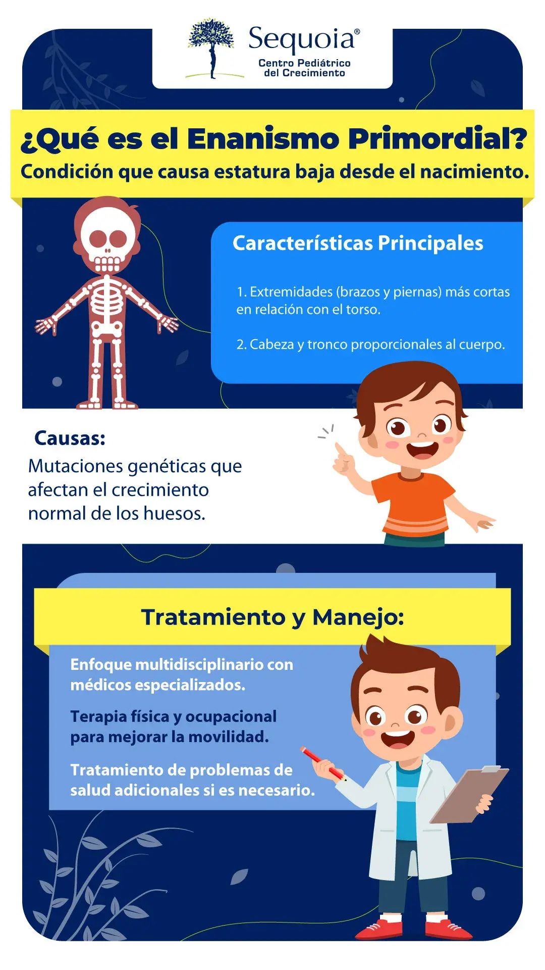 Enanismo primordial - Infografía