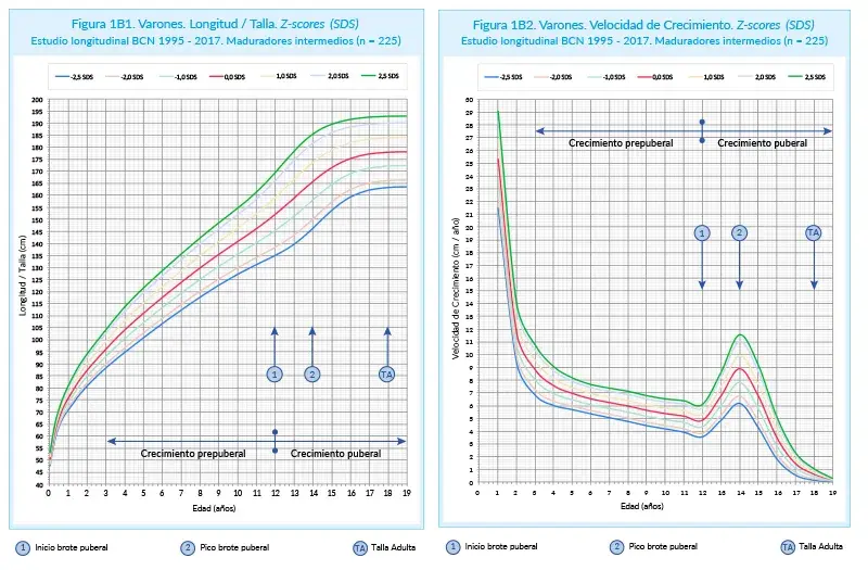 Gráficas de velocidad de crecimiento en niños