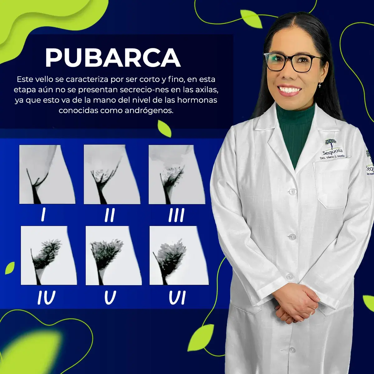 Pubarca y sus seis etapas del crecimiento del vello