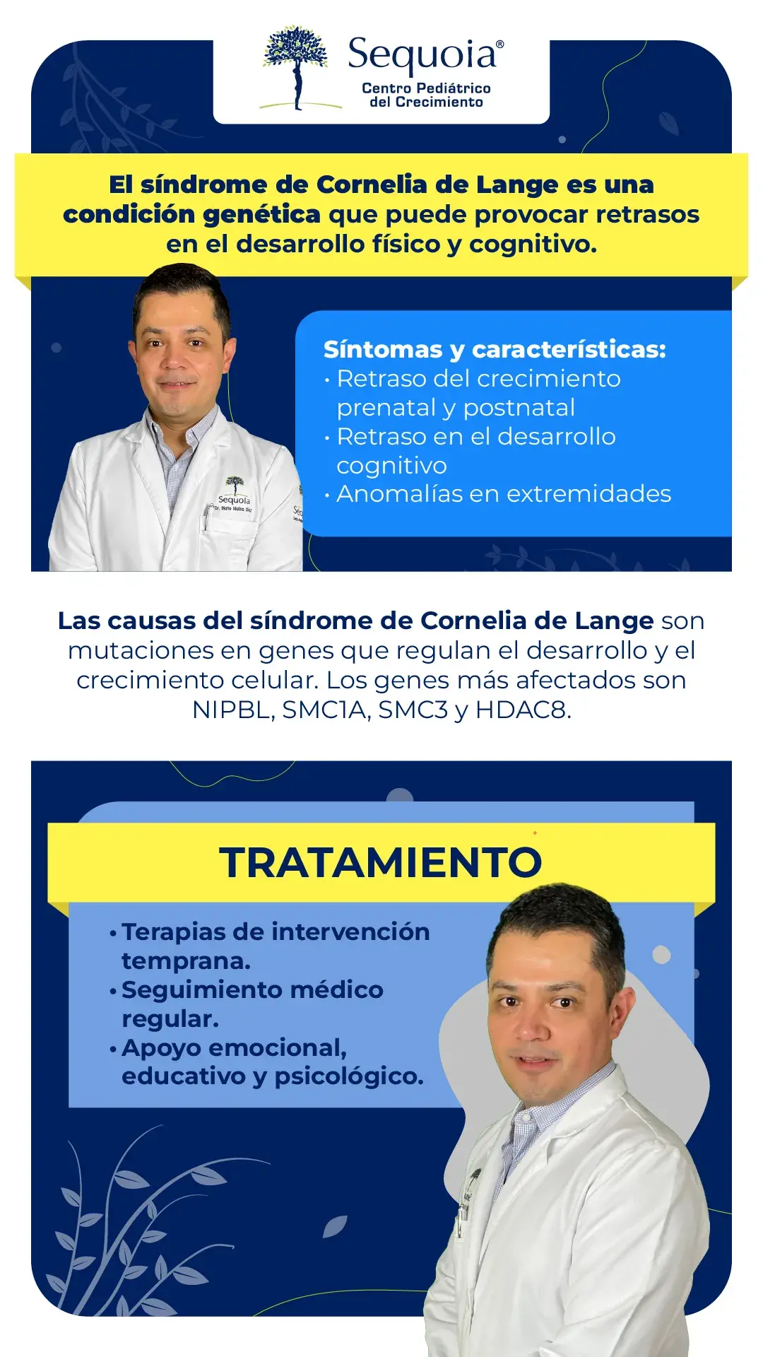Síndrome de Cornelia de Lange - Infografía